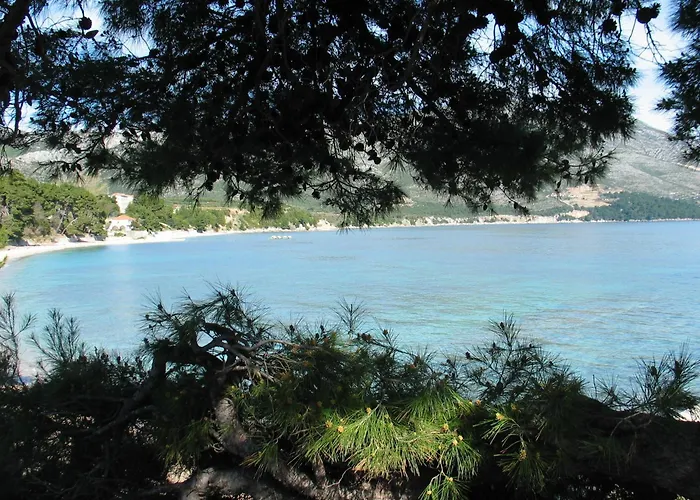 아파트 Cale 오레비츠